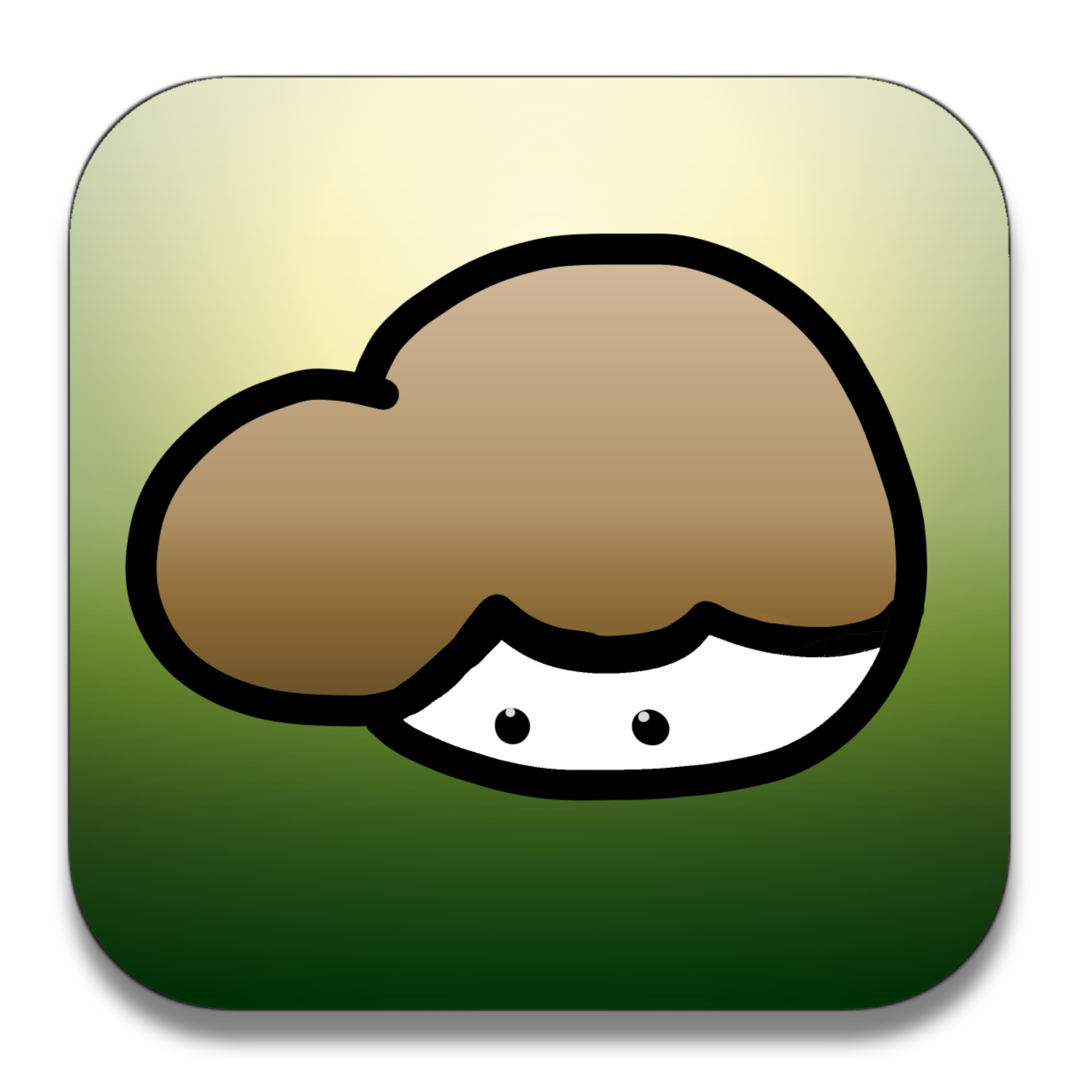 Placeholder 12